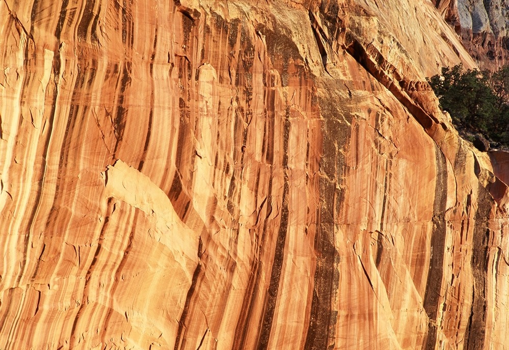 Desert varnish on rock walls
